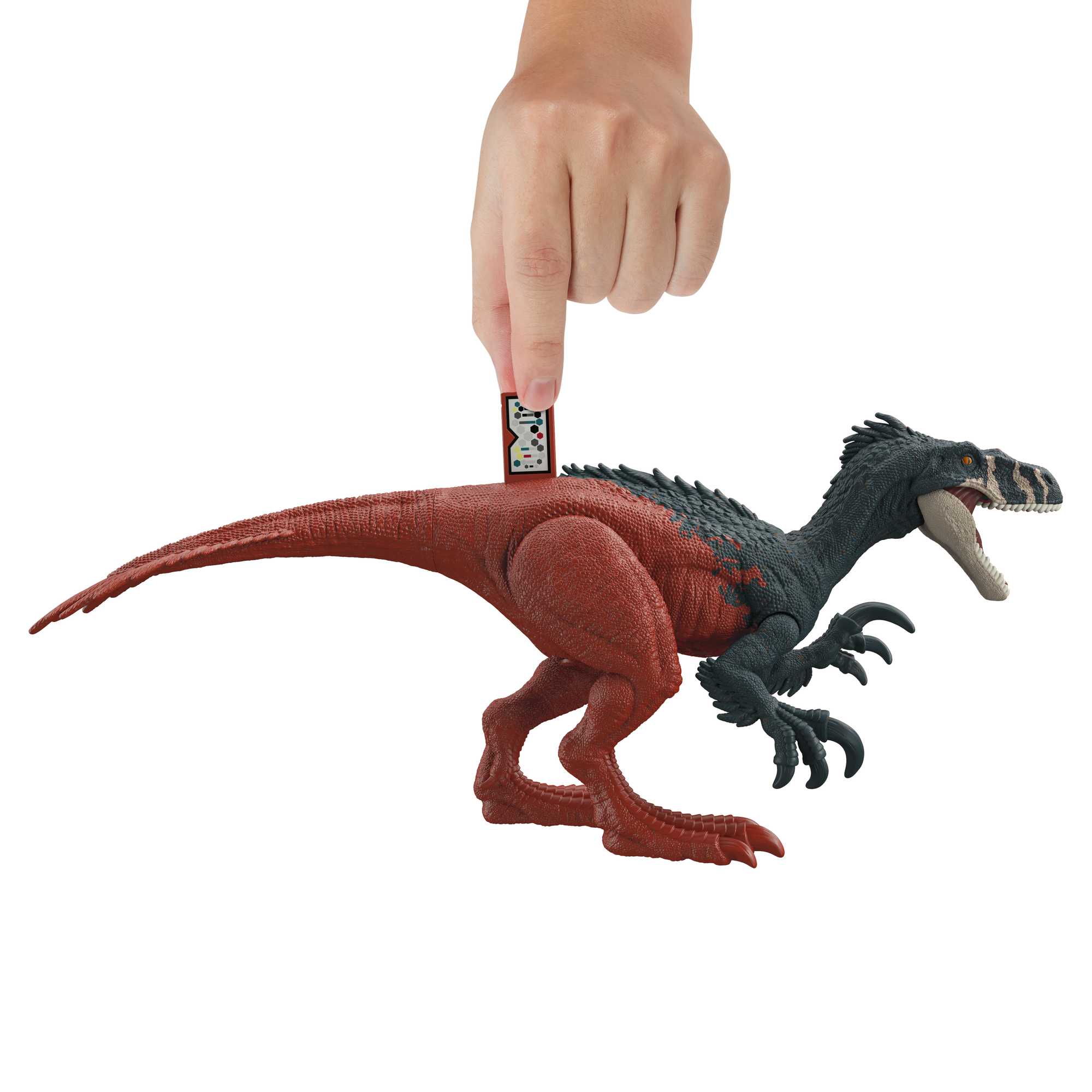 Thumb 4