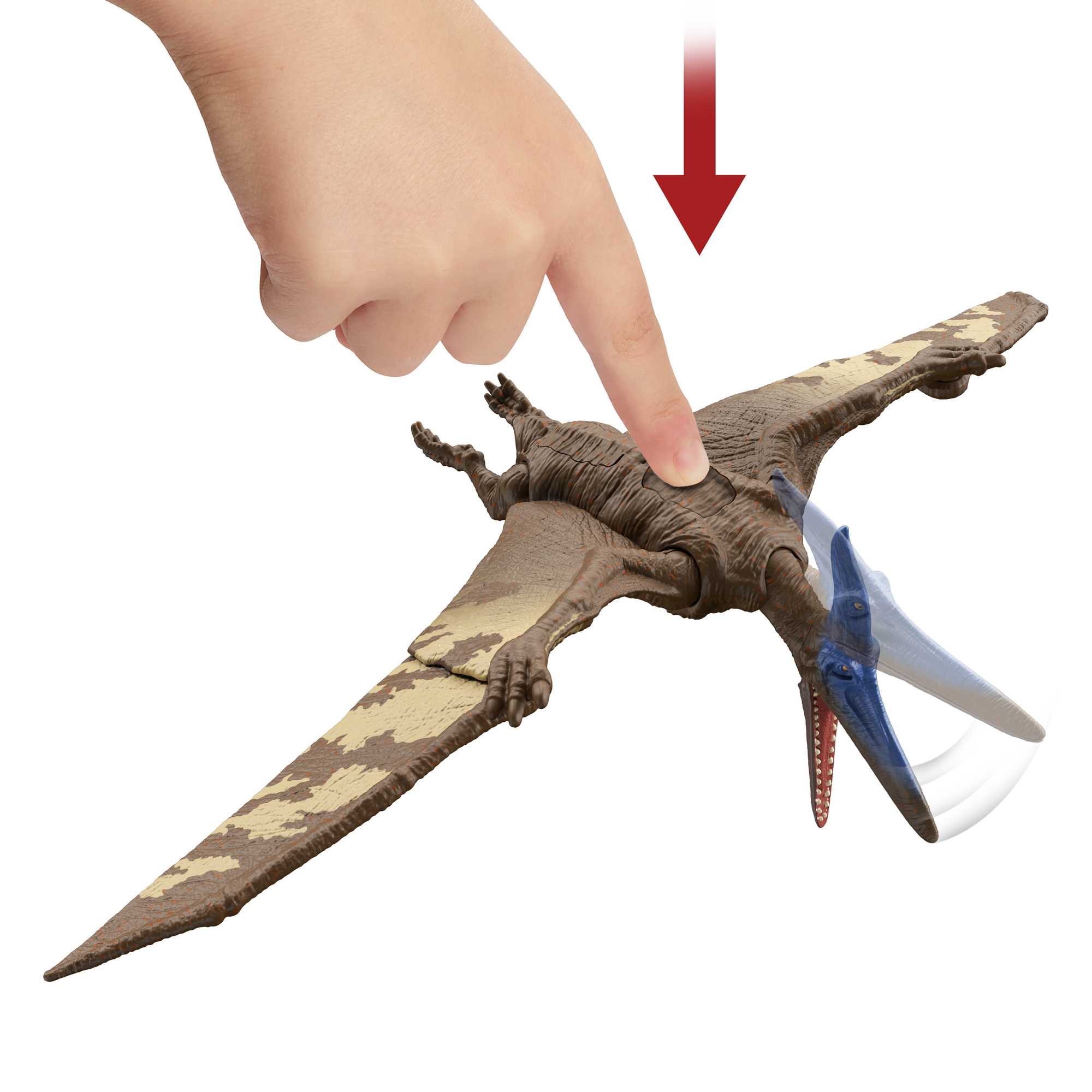 Thumb 4