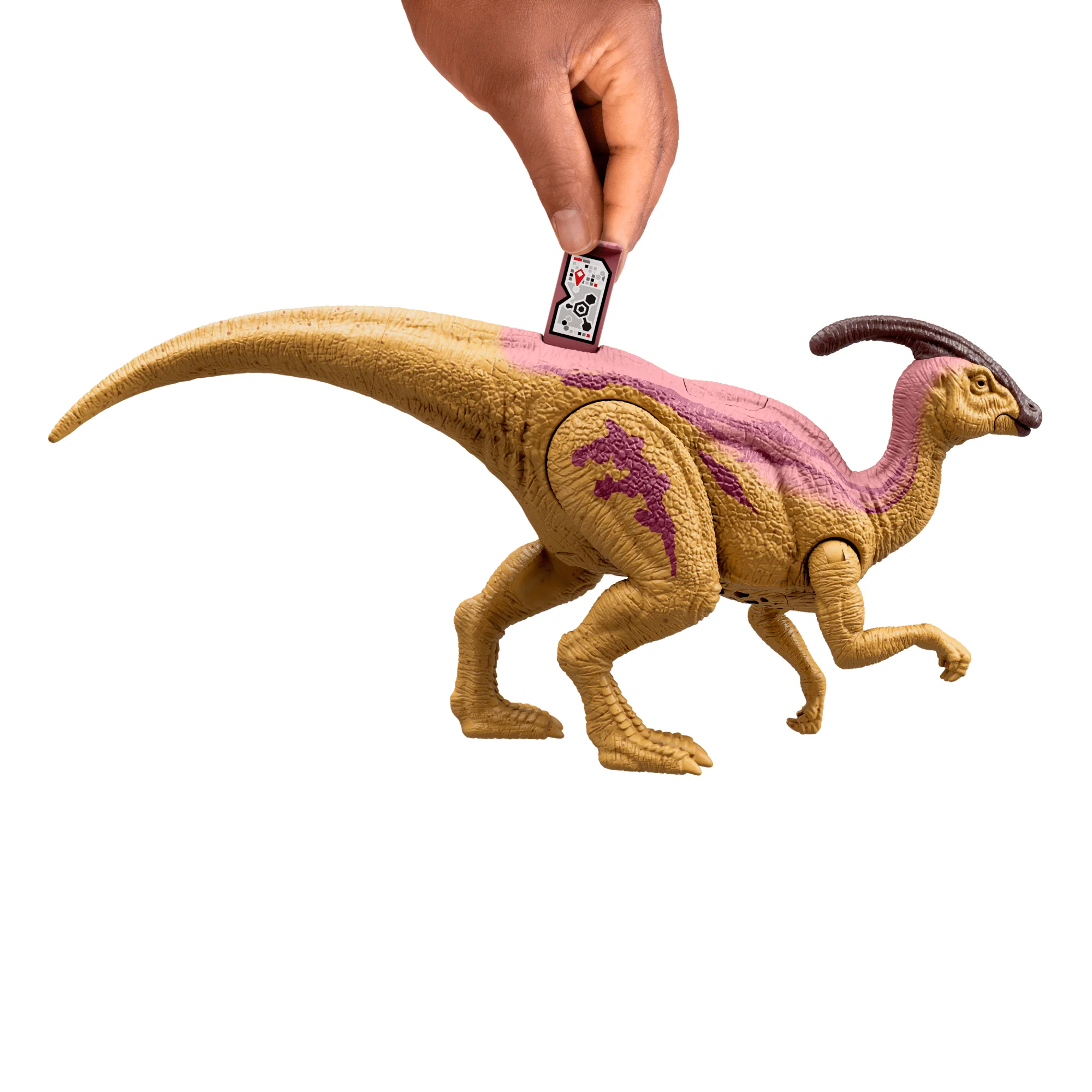 Thumb 5